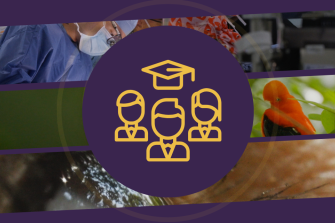 Guía para personal docente y estudiantes