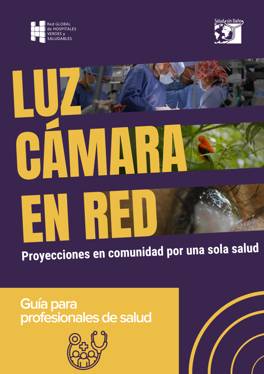 Portada de la guía para profesionales de salud