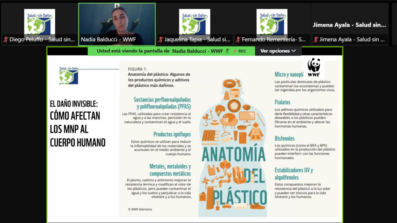 La exposición de Nadia Balducci, de WWF.