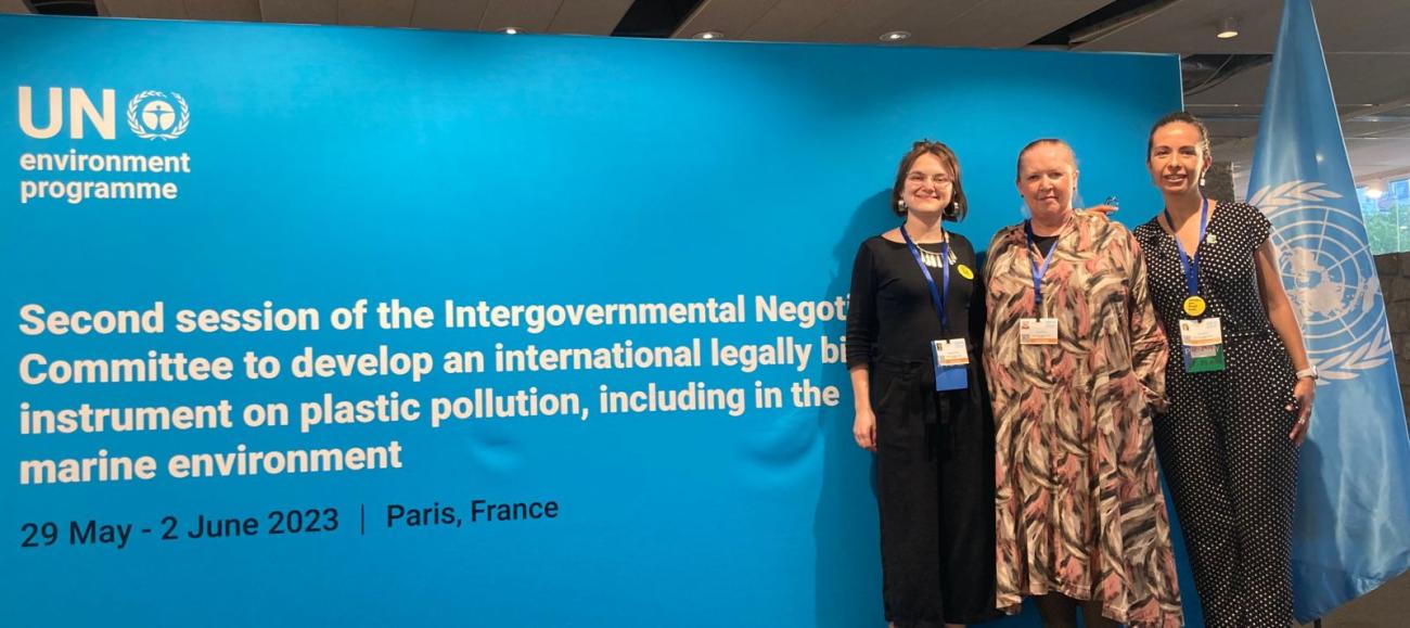 Comité Intergubernamental de Negociación (CIN 2) sobre la Contaminación por Plásticos, en París, Francia 